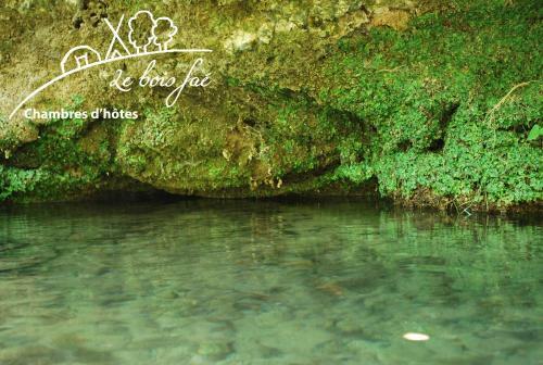 Bed & Breakfast Le Bois Fa�