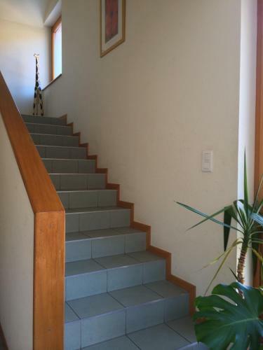 Apartamento Vignobles Frey-sohler
