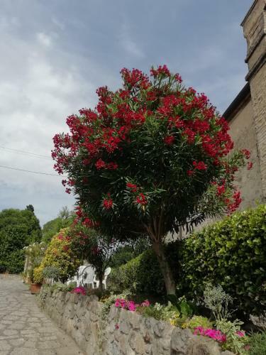 Bed & Breakfast Al Borgo