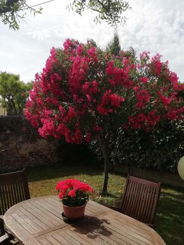 Bed & Breakfast Al Borgo