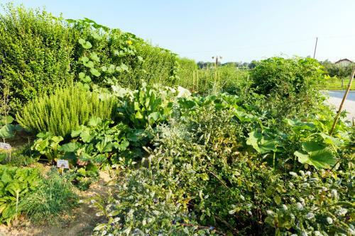 Hotel H�tel Auberge De Chavannes