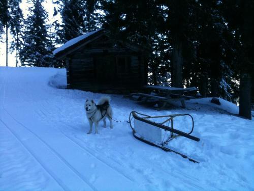 Appartement Dans Chalet 8 Pers