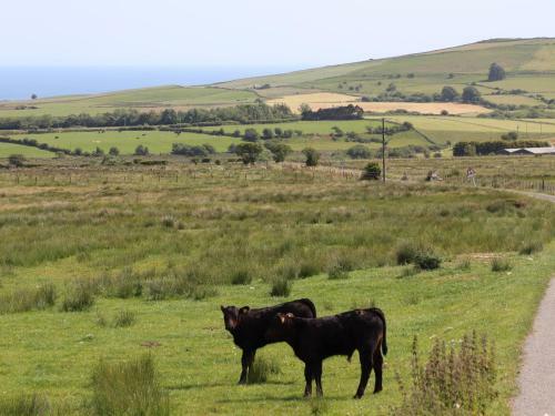 Cwm Ceiliog Annex
