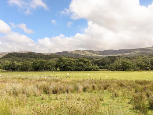 Llys Elen