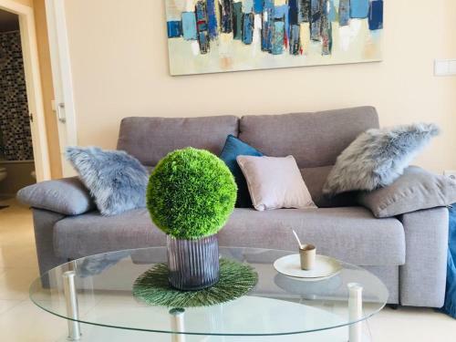 Apartamento Bahia Del Sol 4