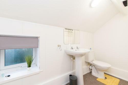 Beautiful Apartment * Free Parking * Fast Wifi