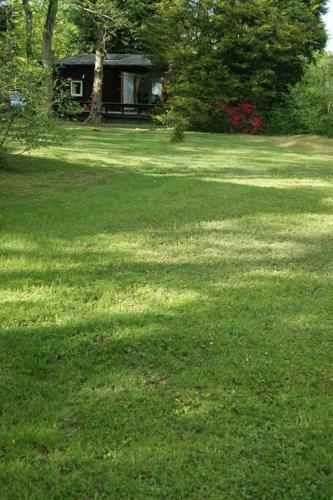 Lovely Log Cabin On Woodland Site