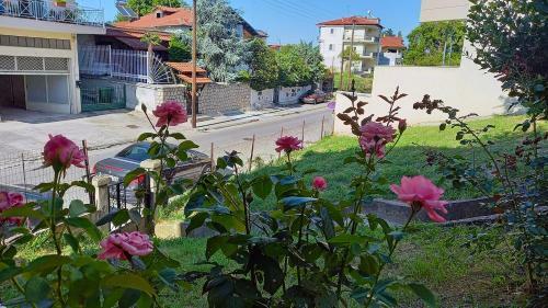 Apartamento Heaven Home