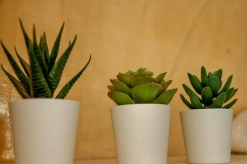 Apartamento White Element