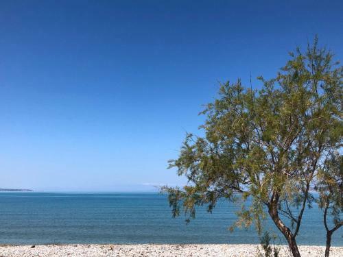 Apartamento Casa Cuore Quiet And Authentic Near The Sea