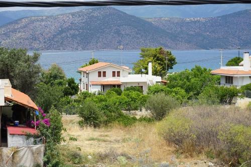 Single House By The Sea