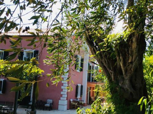 Villa Dassia House