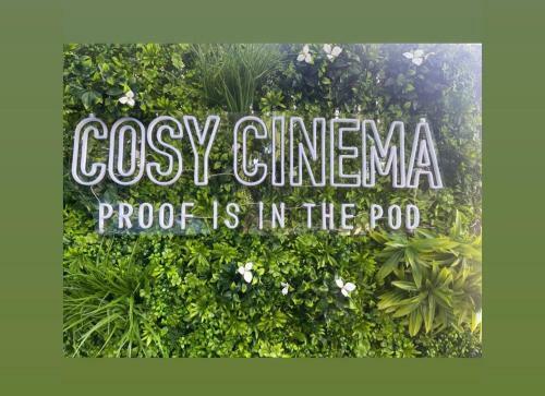 Cosy Cinema