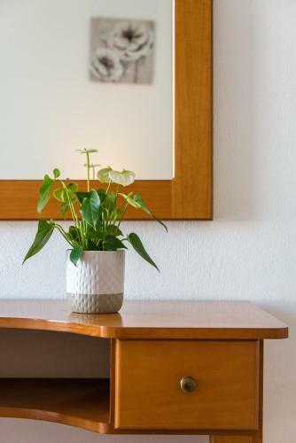 Apartamento Joanna's Studio 1