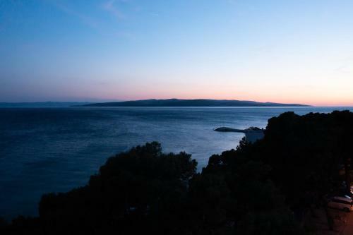 Apartments Amare