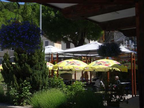 Hotel H�tel Restaurant Les Alpins