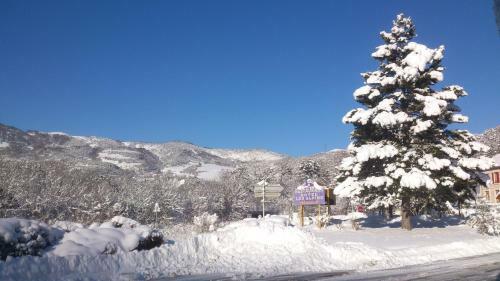 Hotel H�tel Restaurant Les Alpins