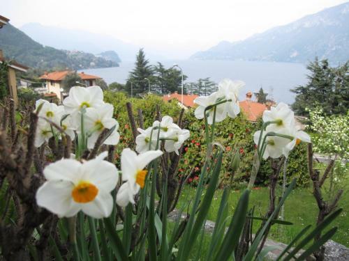Villa Panorama