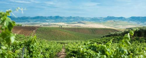 Agroturismo Sirignano Wine Resort