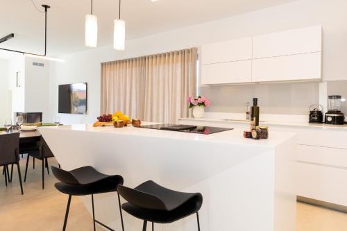 Villa Luxury House Natanel