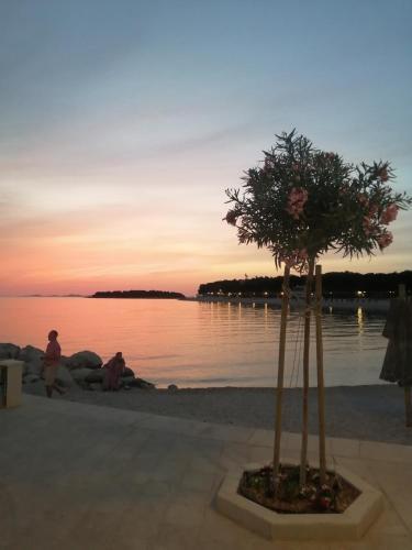 Apartamento Stonewood Dalmacija