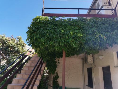 Apartments Soling Primo?ten