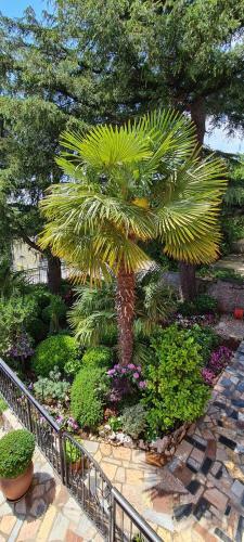 Apartmani Merlin Selce