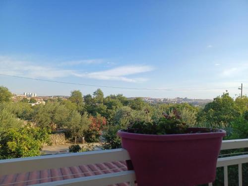 Big Apartment With Garden