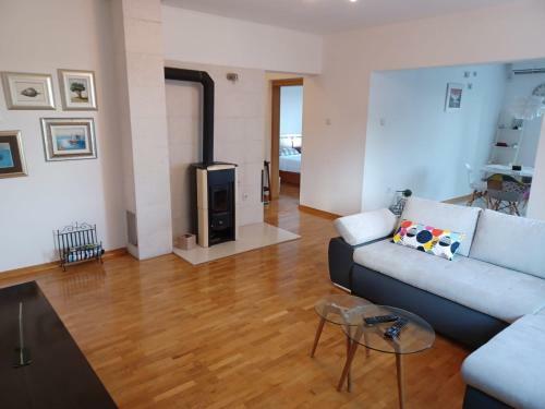 Big Apartment With Garden