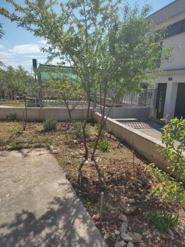 Apartman Lavandica