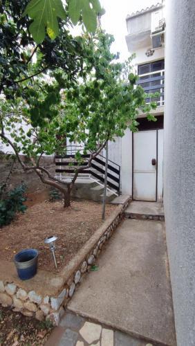 Apartman Bruno