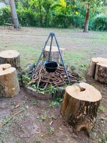 Apartamento T?lev�l/pine-needles