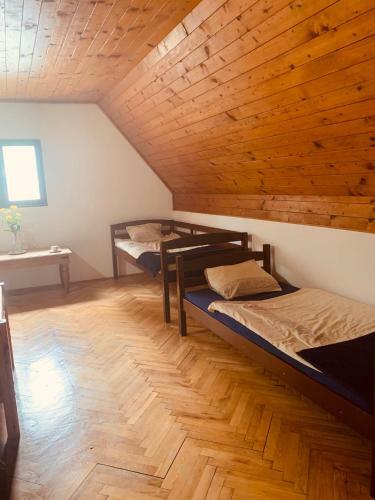 Apartamento T?lev�l/pine-needles