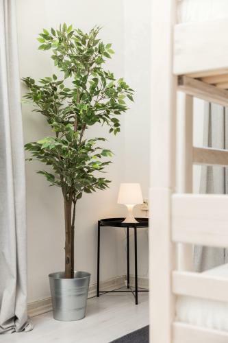 Brajda Apartment