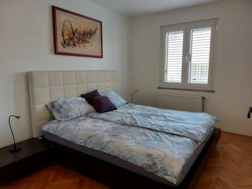 Apartman Dante