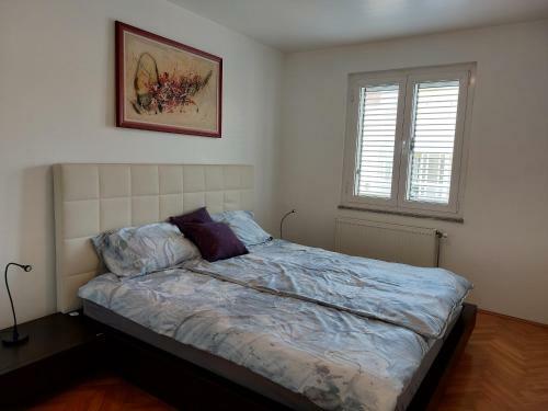 Apartman Dante