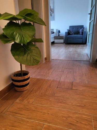 Rijeka Apartment With Free Parking And Large Balcony