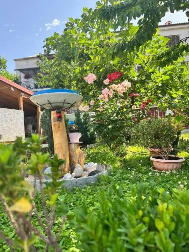Studio Apartment Corina