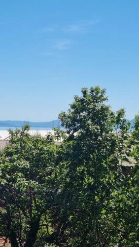 Apartman Mia