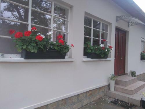 Apartamento Hortenzia �d�l?h�z