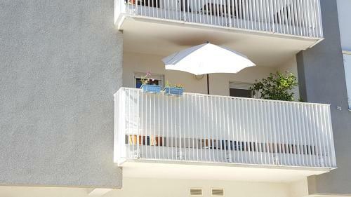 Butterfly Apartment