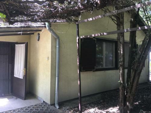 Pityke Vend�gh�z