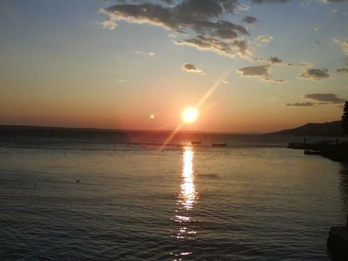 Hostal Apartments Asi - 60 M From Sea