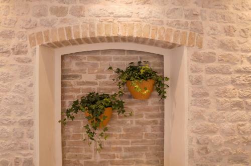 Olive Grove Of ?ibenik - Apartment With Gallery