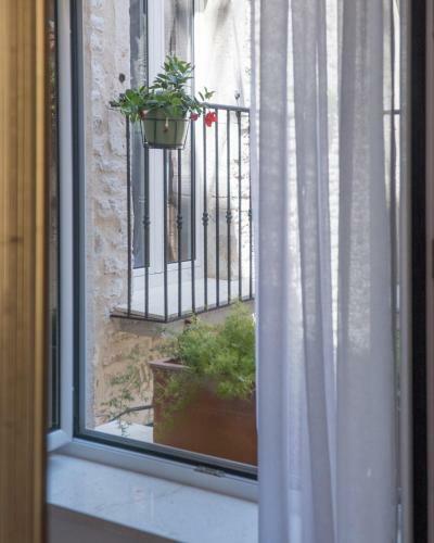 Olive Grove Of ?ibenik - Apartment With Gallery