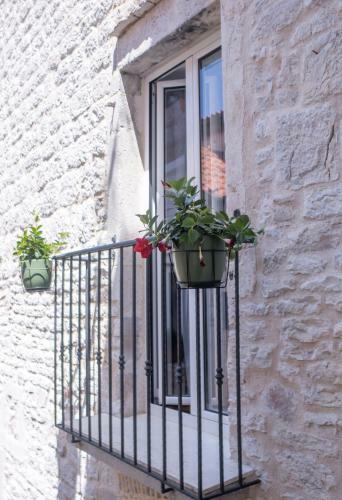 Olive Grove Of ?ibenik - Apartment With Gallery