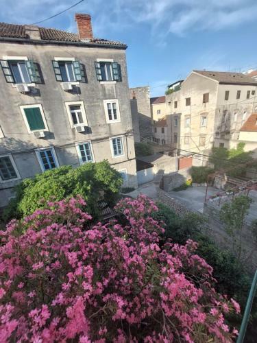 Apartamento App Old Garden House