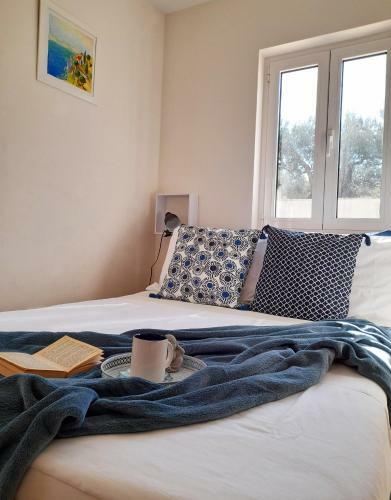 Apartamento Appartamento Daisy Con Vista Mare E Piscina