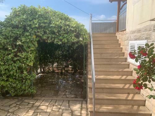 Tara?s Apartman Supetar