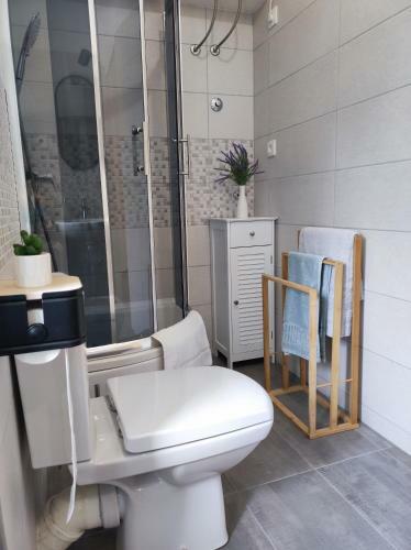 Apartman Mikela